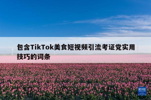 包含TikTok美食短视频引流考证党实用技巧的词条