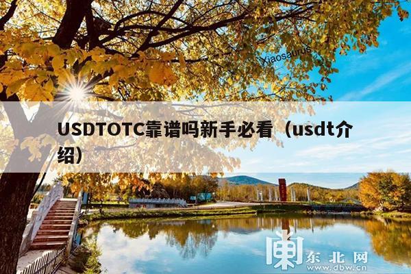 USDTOTC靠谱吗新手必看(usdt介绍)