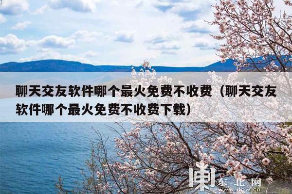 聊天交友软件哪个最火免费不收费(聊天交友软件哪个最火免费不收费下载)