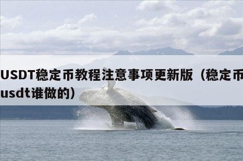 USDT稳定币教程注意事项更新版(稳定币usdt谁做的)
