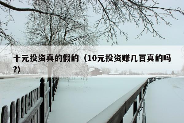 十元投资真的假的（10元投资赚几百真的吗?）
