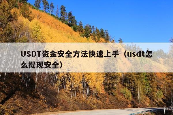 USDT资金安全方法快速上手(usdt怎么提现安全)