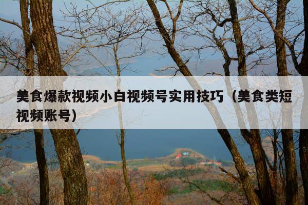 美食爆款视频小白视频号实用技巧(美食类短视频账号)