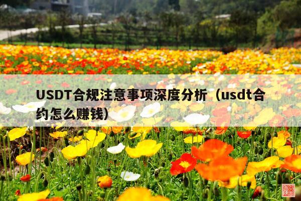 USDT合规注意事项深度分析（usdt合约怎么赚钱）