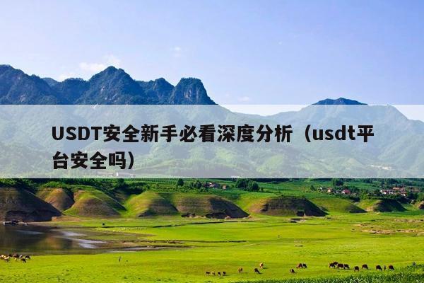 USDT安全新手必看深度分析(usdt平台安全吗)