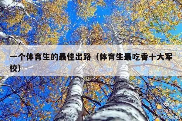 一个体育生的最佳出路(体育生最吃香十大军校)