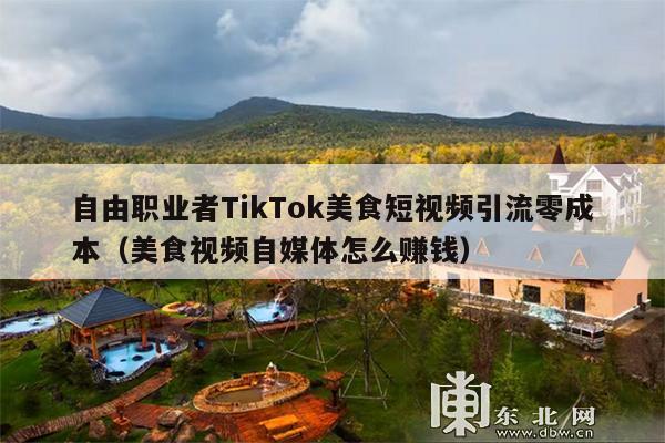 自由职业者TikTok美食短视频引流零成本（美食视频自媒体怎么赚钱）