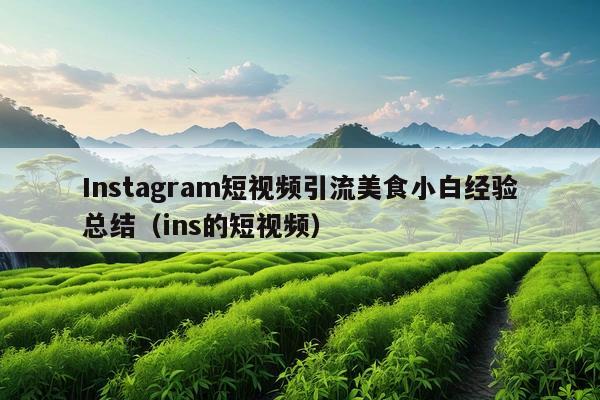 Instagram短视频引流美食小白经验总结(ins的短视频)