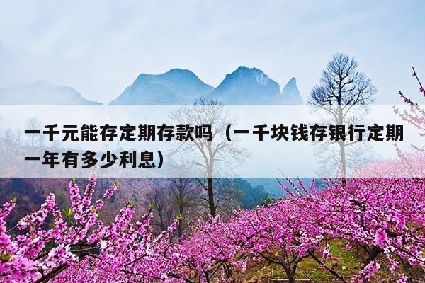 一千元能存定期存款吗(一千块钱存银行定期一年有多少利息)