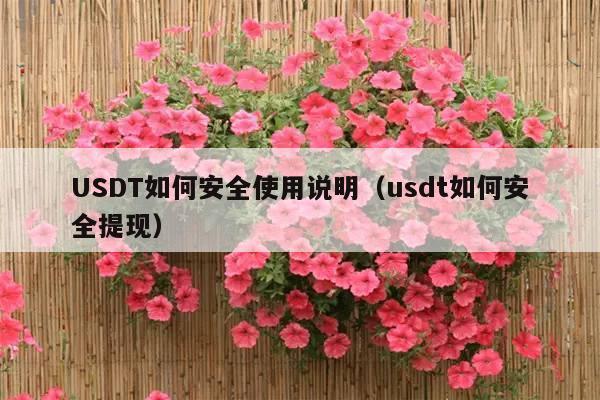 USDT如何安全使用说明（usdt如何安全提现）