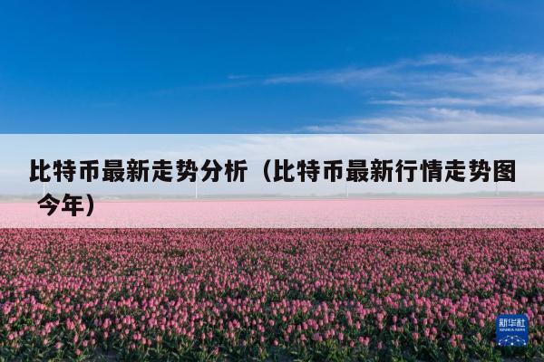 比特币最新走势分析(比特币最新行情走势图 今年)