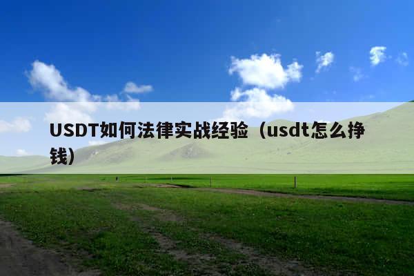USDT如何法律实战经验(usdt怎么挣钱)