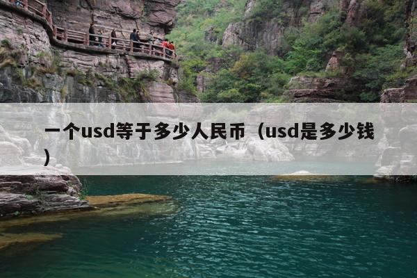 一个usd等于多少人民币(usd是多少钱)