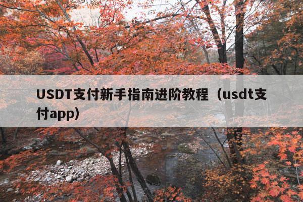 USDT支付新手指南进阶教程(usdt支付app)