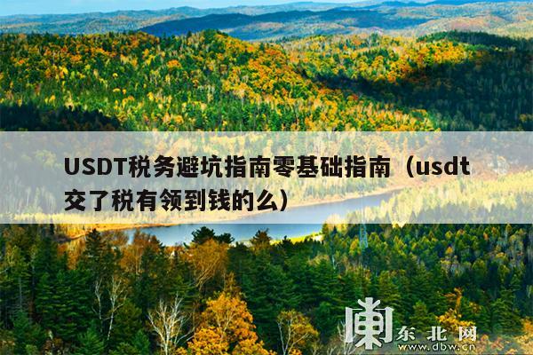 USDT税务避坑指南零基础指南(usdt交了税有领到钱的么)