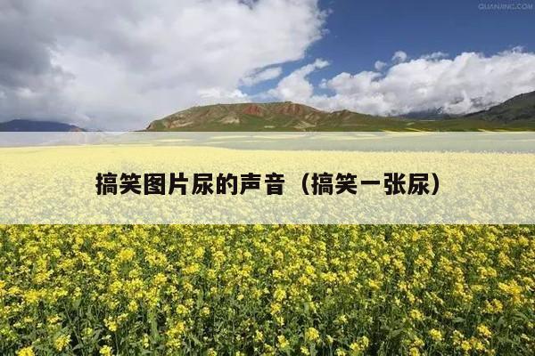 搞笑图片尿的声音(搞笑一张尿)