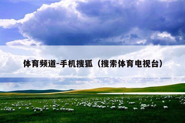 体育频道-手机搜狐(搜索体育电视台)