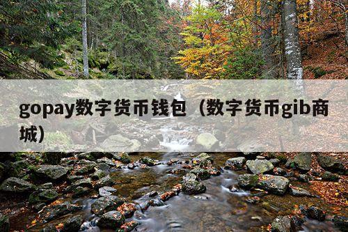 gopay数字货币钱包(数字货币gib商城)