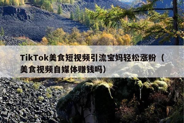 TikTok美食短视频引流宝妈轻松涨粉(美食视频自媒体赚钱吗)