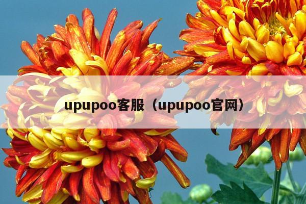 upupoo客服(upupoo官网)