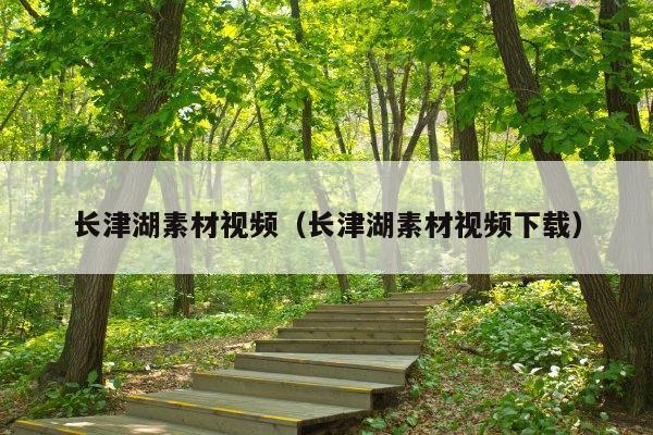 长津湖素材视频（长津湖素材视频下载）