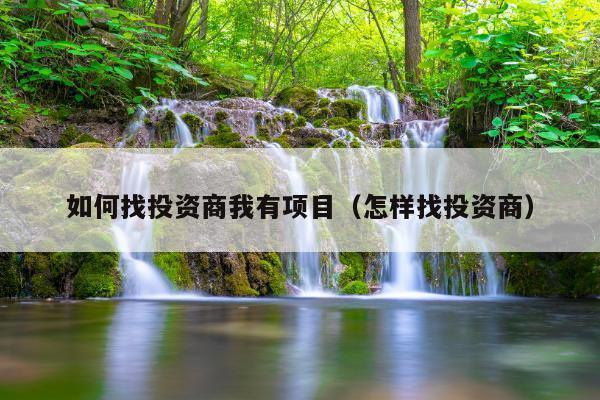 如何找投资商我有项目(怎样找投资商)