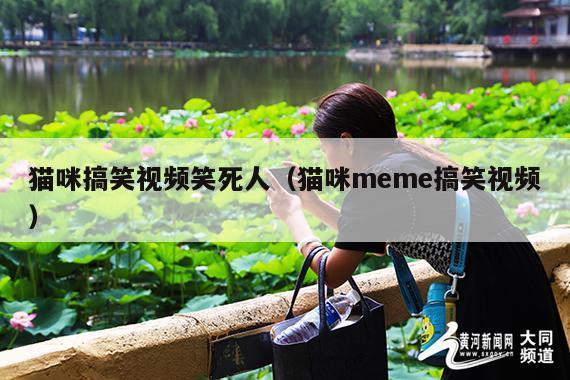 猫咪搞笑视频笑死人(猫咪meme搞笑视频)