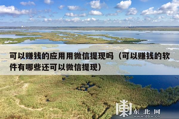 可以赚钱的应用用微信提现吗(可以赚钱的软件有哪些还可以微信提现)