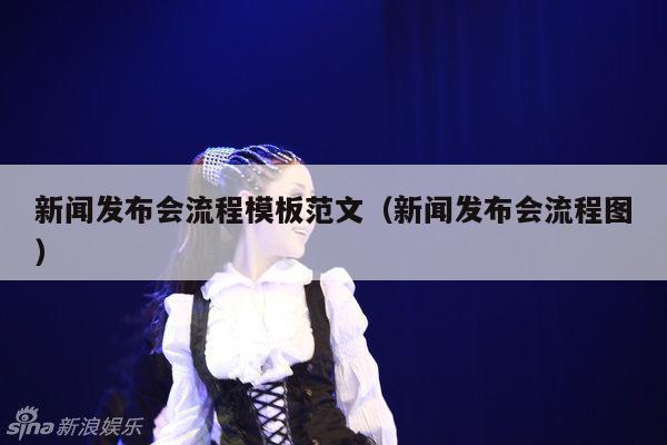 新闻发布会流程模板范文（新闻发布会流程图）