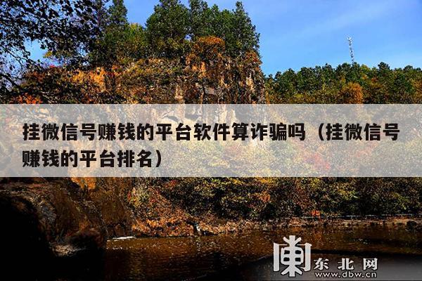 挂微信号赚钱的平台软件算诈骗吗（挂微信号赚钱的平台排名）