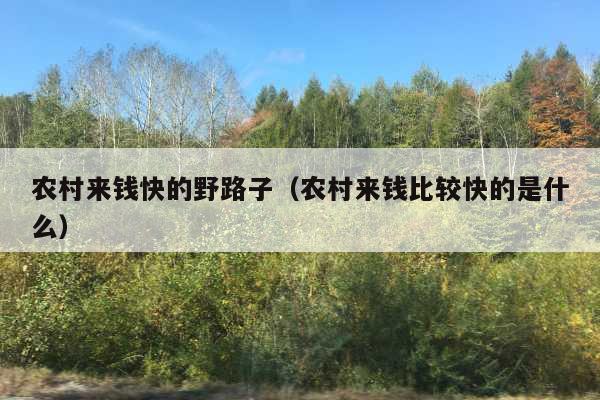 农村来钱快的野路子(农村来钱比较快的是什么)
