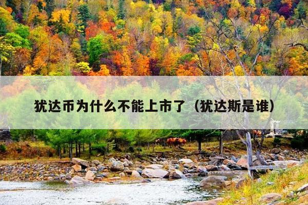 犹达币为什么不能上市了(犹达斯是谁)