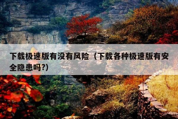 下载极速版有没有风险(下载各种极速版有安全隐患吗?)