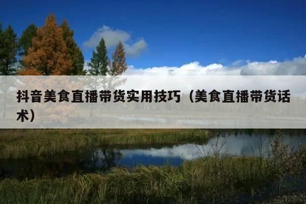 抖音美食直播带货实用技巧(美食直播带货话术)