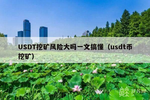 USDT挖矿风险大吗一文搞懂(usdt币挖矿)