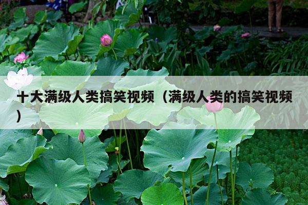 十大满级人类搞笑视频(满级人类的搞笑视频)