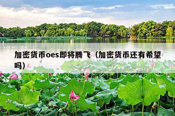 加密货币oes即将腾飞(加密货币还有希望吗)