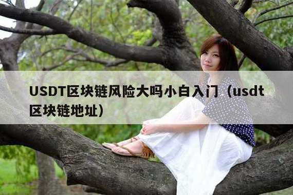 USDT区块链风险大吗小白入门(usdt区块链地址)