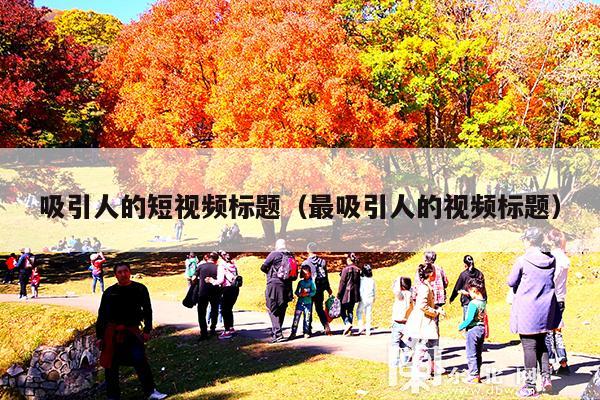 吸引人的短视频标题(最吸引人的视频标题)