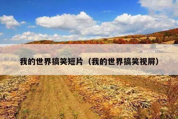 我的世界搞笑短片(我的世界搞笑视屏)