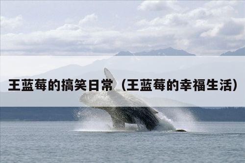 王蓝莓的搞笑日常(王蓝莓的幸福生活)