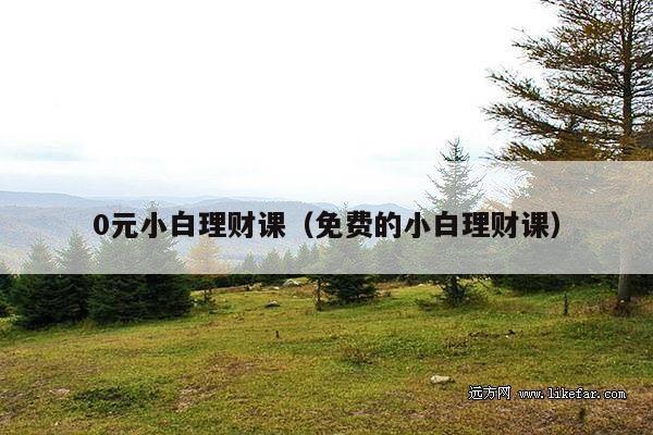 0元小白理财课(免费的小白理财课)