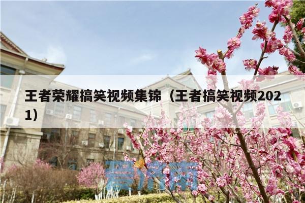 王者荣耀搞笑视频集锦(王者搞笑视频2021)