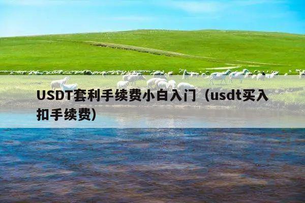USDT套利手续费小白入门(usdt买入扣手续费)