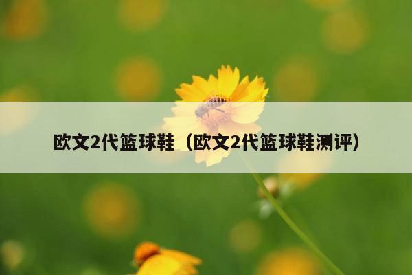 欧文2代篮球鞋(欧文2代篮球鞋测评)
