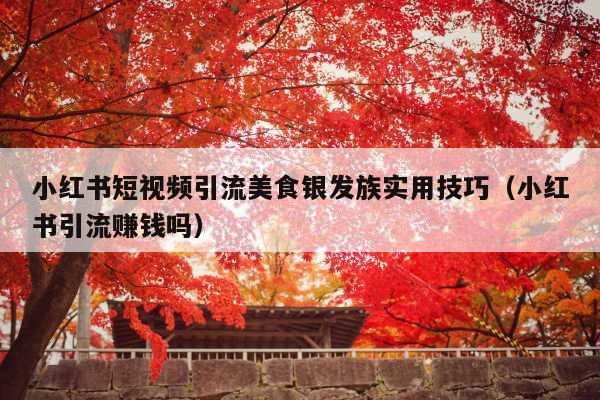 小红书短视频引流美食银发族实用技巧(小红书引流赚钱吗)