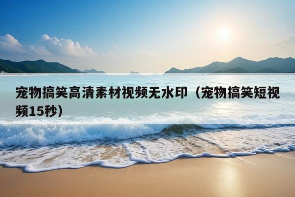 宠物搞笑高清素材视频无水印(宠物搞笑短视频15秒)