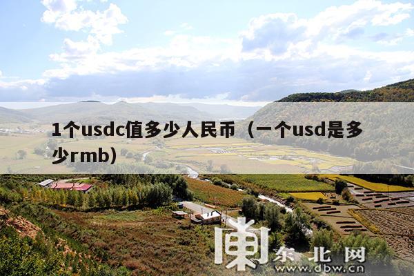 1个usdc值多少人民币(一个usd是多少rmb)