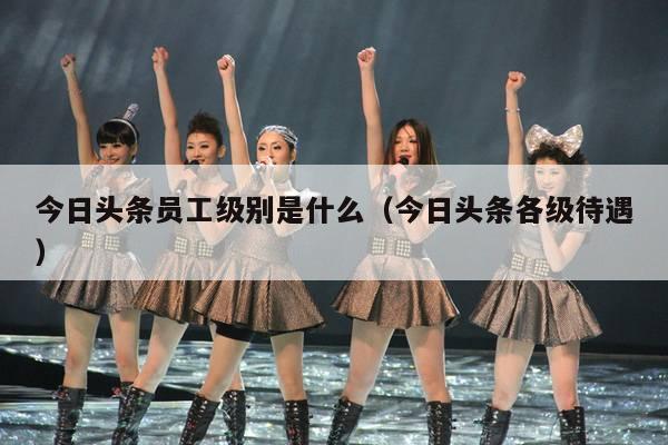 今日头条员工级别是什么(今日头条各级待遇)