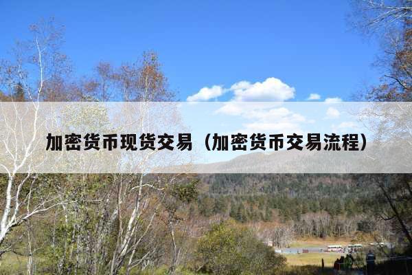 加密货币现货交易(加密货币交易流程)